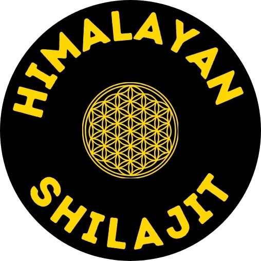 Himalayan Shilajit Resin - 40 grams